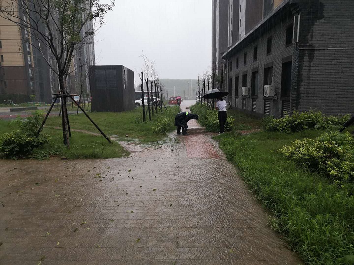 暴雨突袭，泛滥成河-挺住！物业公司在身边